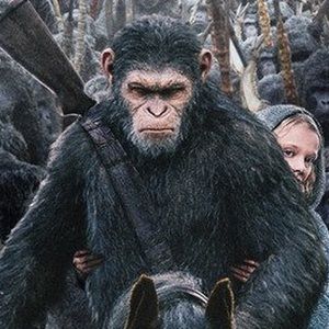 Meet your Posher, Joshua